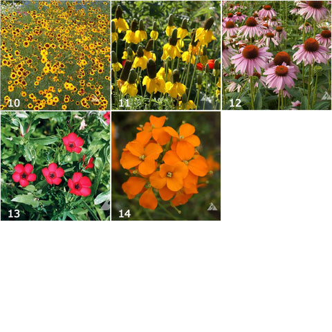 Garden Sprinkles Tin - Wildflowers