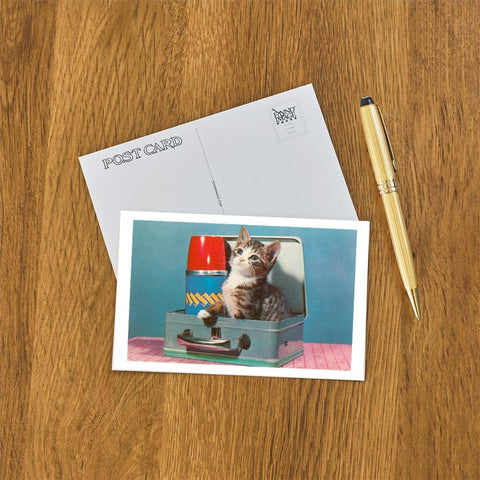 Postcard - Kitten in a Lunchbox