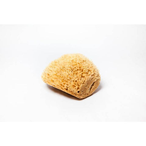 Sea Wool Natural Sponge