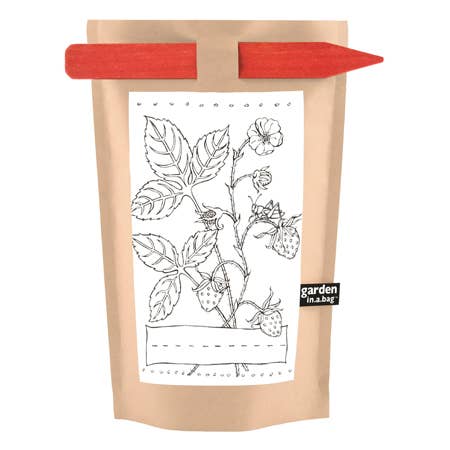 Kids Garden in a Bag - Strawberry