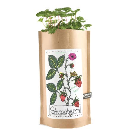 Kids Garden in a Bag - Strawberry