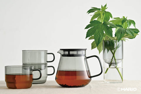 Colors Glass Coffee and Tea Server 600mL