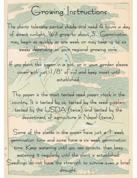 Zero Waste Plantable Seed Card