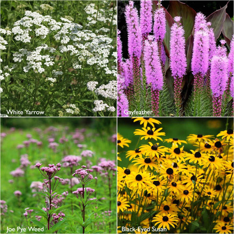 Garden Sprinkles Tin - Monarch