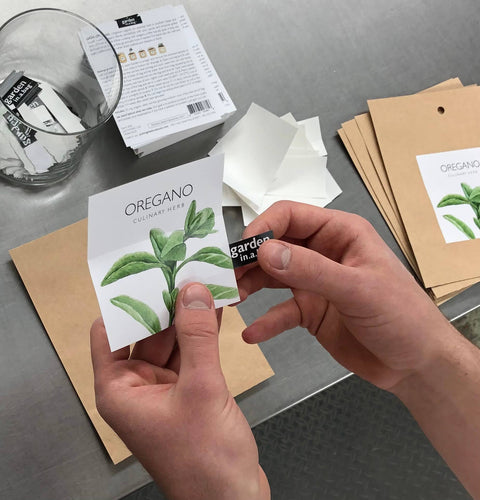 Garden in a Bag - Cilantro