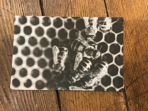 Postcard - Mae Taylor by Mae Taylor Photography, photo 15