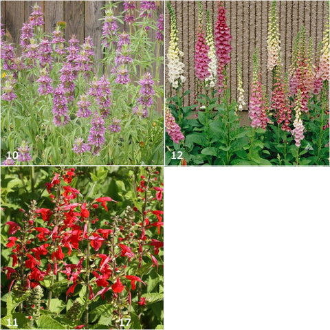 Garden Sprinkles Tin - Hummingbird
