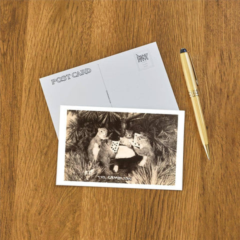 Postcard - Gambling Squirrels