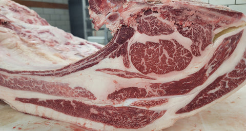 MaKyn Farms American Wagyu marbling (photo courtesy of MaKyn Farms)