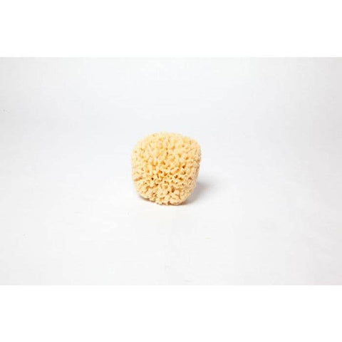 Sea Wool Natural Sponge