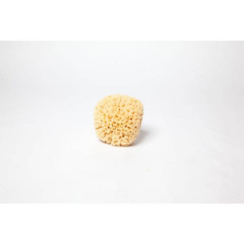 Sea Wool Natural Sponge