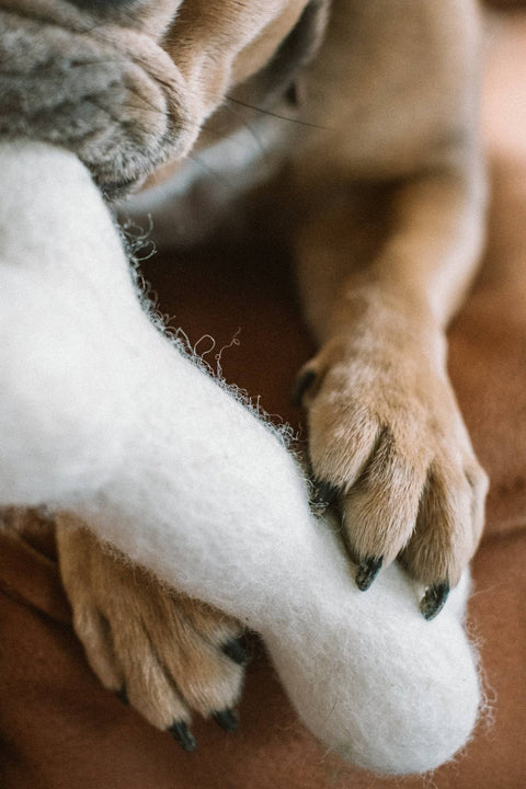 Eco Wool Dog Bones, White (Fair Trade)