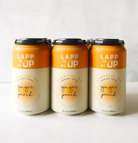 LAPP it UP Kombucha, photo 3