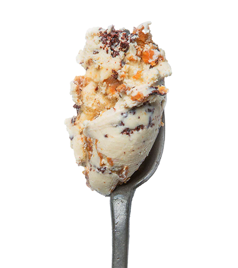 Double Peanut Butter Chip by McConnell's Fine Ice Creams, photo 2