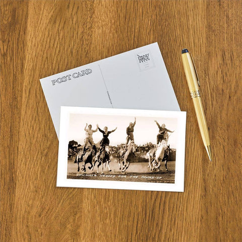 Postcard - Cowgirls Standing on Horses