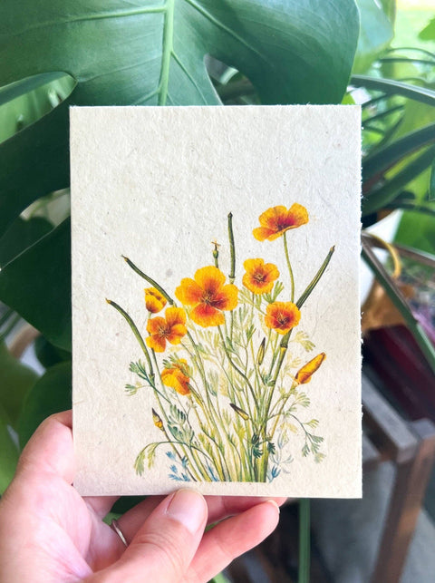 Zero Waste Plantable Seed Card