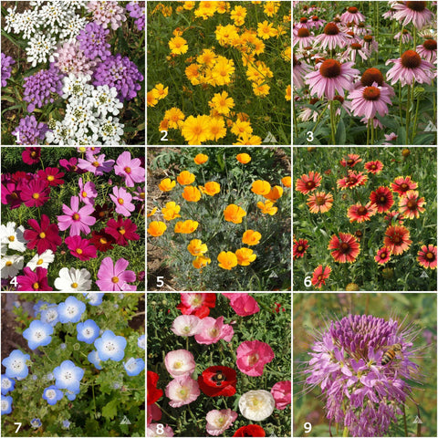 Garden Sprinkles Tin - Honeybee