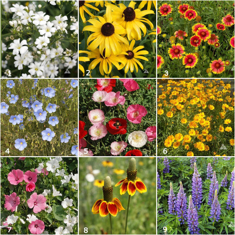 Garden Sprinkles Tin - Wildflowers