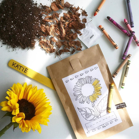 Kids Garden in a Bag - Sunflower