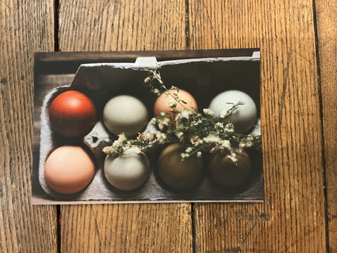 Postcard - Mae Taylor by Mae Taylor Photography, photo 4