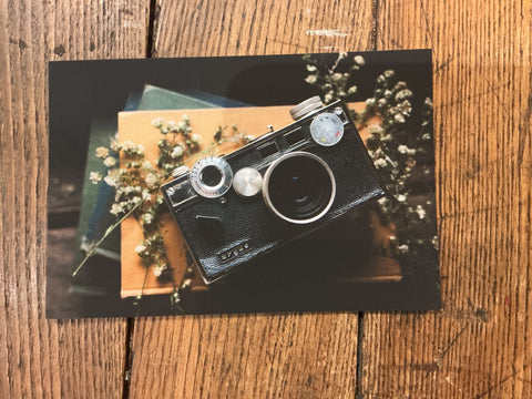 Postcard - Mae Taylor by Mae Taylor Photography, photo 8