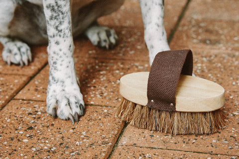 Dog/Pet Grooming Brush - All Natural, Handmade