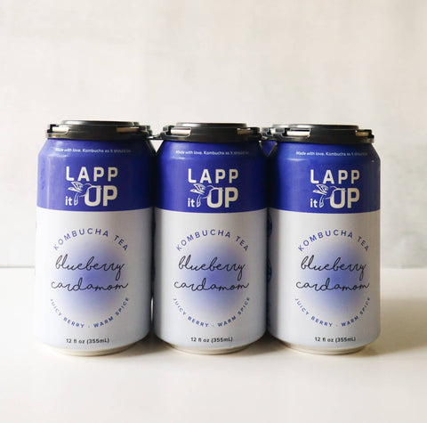 LAPP it UP Kombucha, photo 4