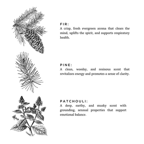 Laundry Powder - Forest Bathing