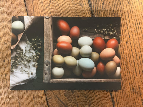 Postcard - Mae Taylor by Mae Taylor Photography, photo 2