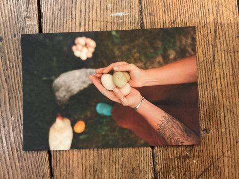 Postcard - Mae Taylor by Mae Taylor Photography, photo 5