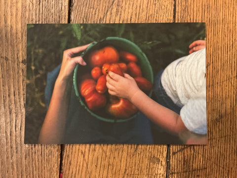 Postcard - Mae Taylor by Mae Taylor Photography, photo 14