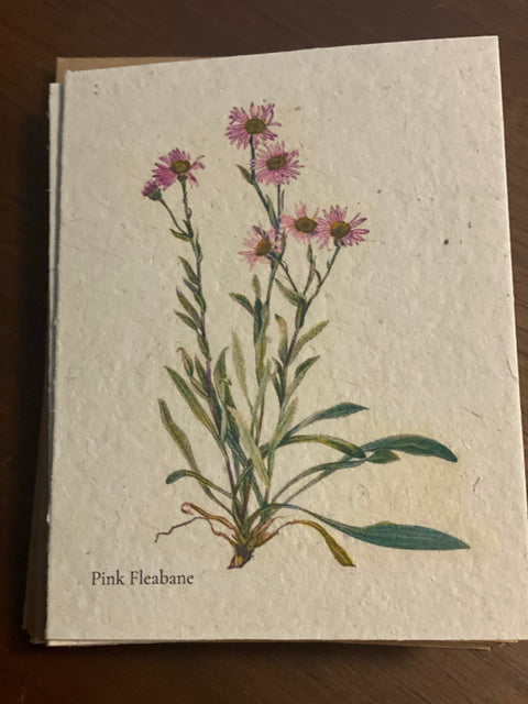 Zero Waste Plantable Seed Card