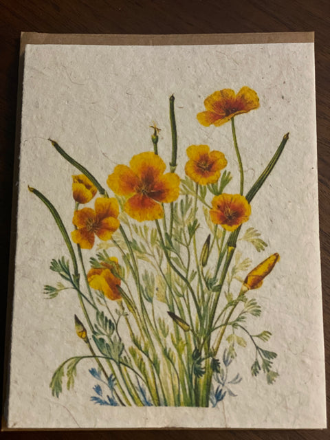 Zero Waste Plantable Seed Card