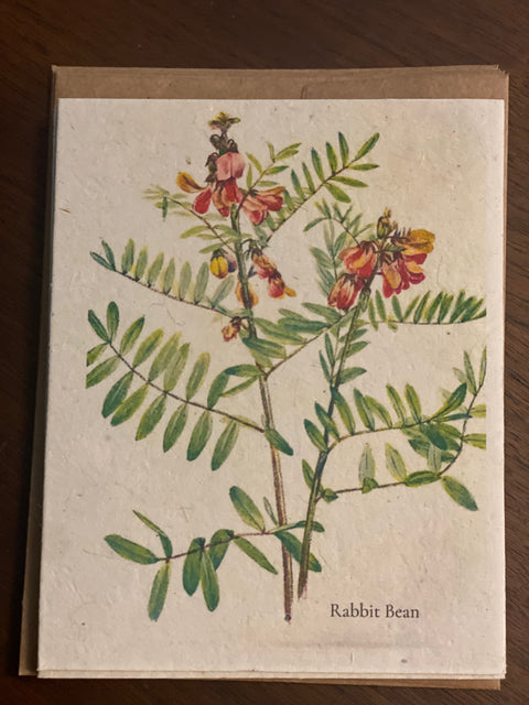Zero Waste Plantable Seed Card