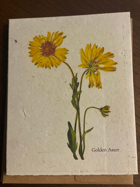 Zero Waste Plantable Seed Card