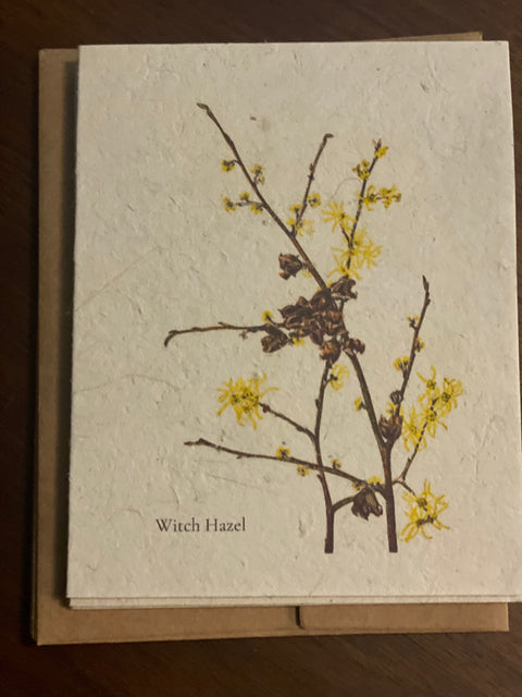 Zero Waste Plantable Seed Card