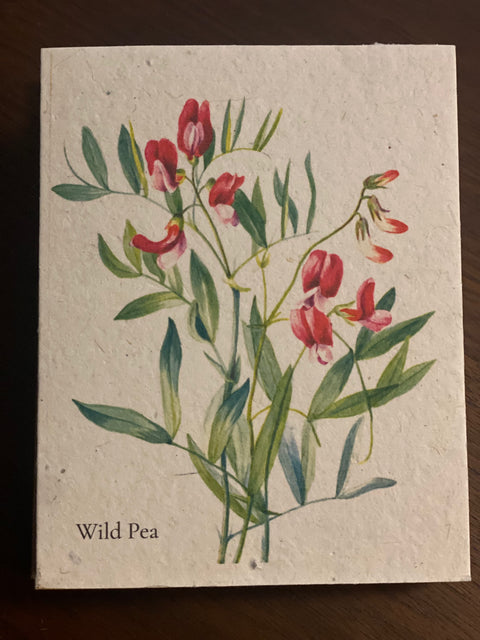 Zero Waste Plantable Seed Card