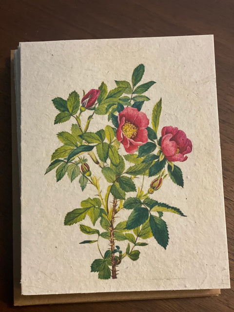 Zero Waste Plantable Seed Card
