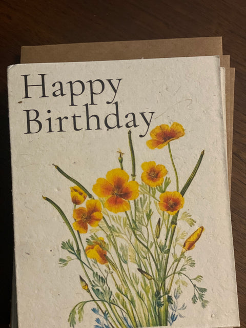Zero Waste Plantable Seed Card