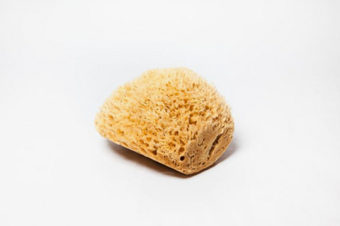 Sea Wool Natural Sponge