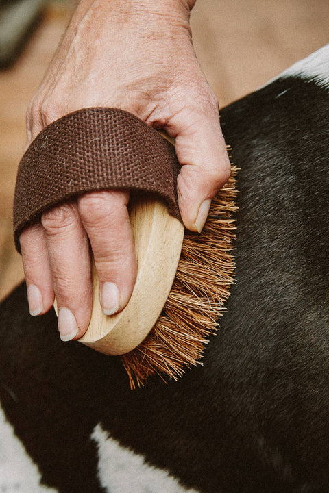 Dog/Pet Grooming Brush - All Natural, Handmade