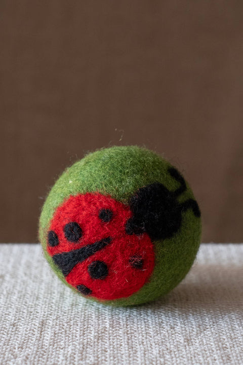 Decorative Dryer Balls