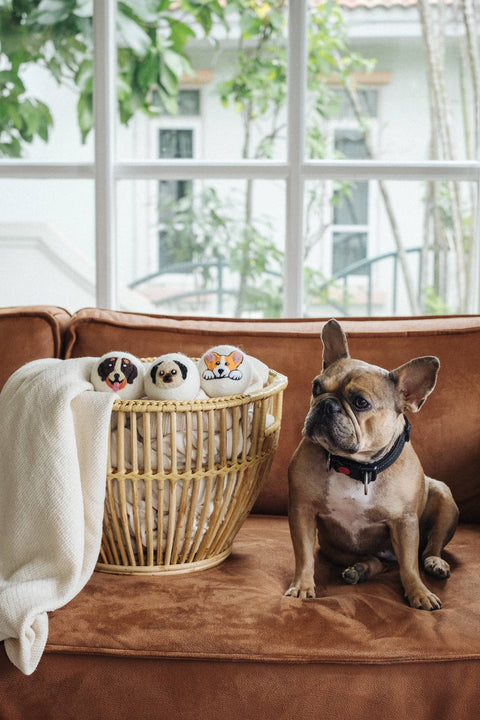 Dogs: Natural Wool Dryer Balls – Gift Set of 3 by Ethical Global, photo 3