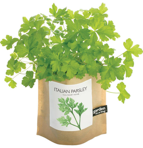Garden in a Bag - Italian Parsley