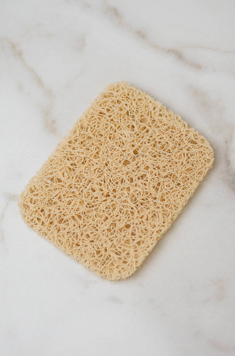 Noodle™ Bar Safe Sponge