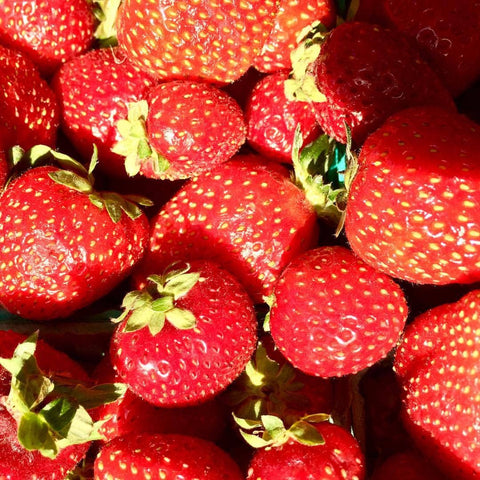 Kids Garden in a Bag - Strawberry