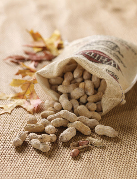 12 oz. Burlap Bag Salted Roasted-n-Shell Peanuts by Whitley's Peanut Factory, photo 2