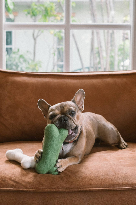 Eco Wool Dog Bones/Toys: Green (Fair Trade) by Ethical Global, photo 2