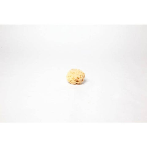Sea Wool Natural Sponge