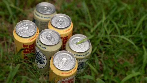 Forest Water Non-Alcoholic Botanical Soda